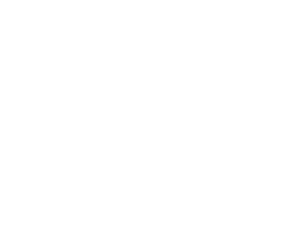 GL System